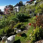 Apartmán Cozy And Modern With A Countryside Feeling In